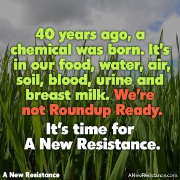 a-new-resistance-latest